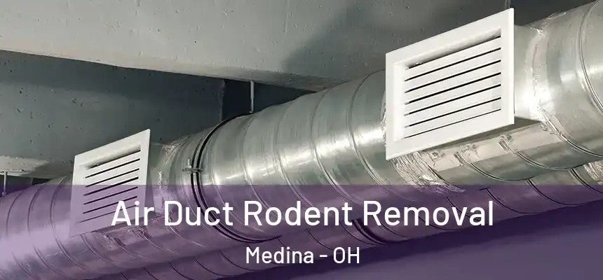  Air Duct Rodent Removal Medina - OH