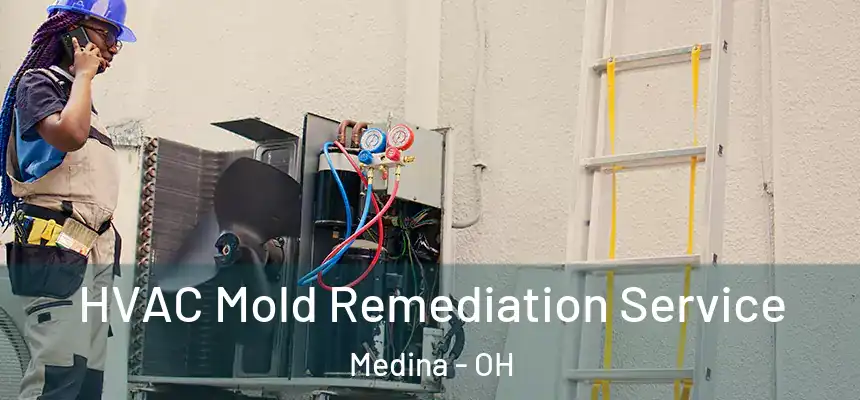  HVAC Mold Remediation Service Medina - OH
