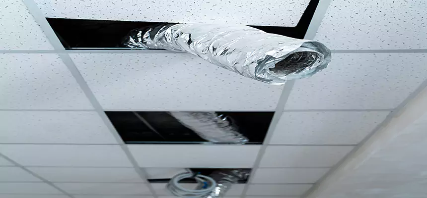 Our Air Duct Pet Hair Removal Services in Medina, OH