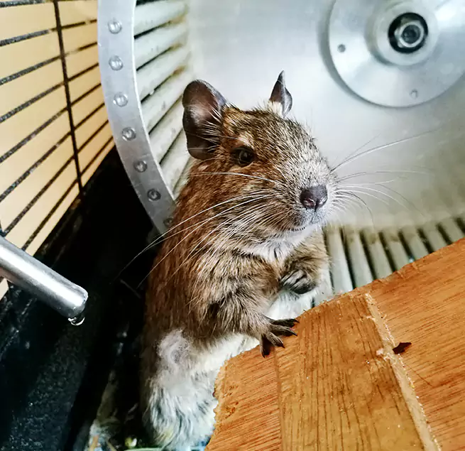 Why Homeowners & Businesses Trust Us Medina, OH